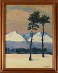 Vysoké Tatry - Tatranská Lomnica