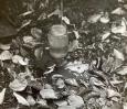 Martin Martinček – Martin Martinček - Prameň – fotografia 3