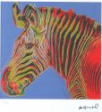 Andy Warhol – Zebra – fotografia 2